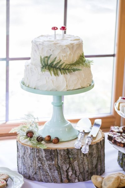 details_41